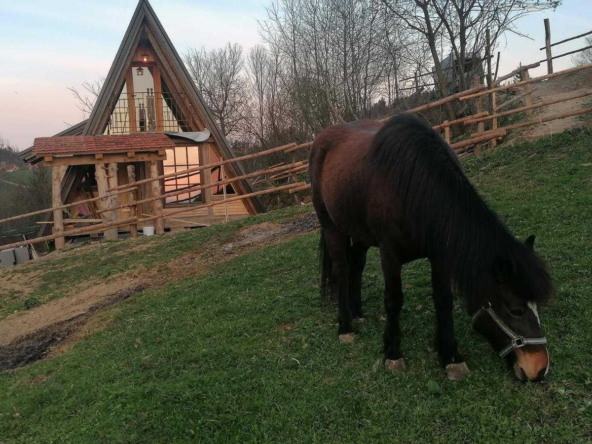 Razgorce Ranch At Geta旅馆 外观 照片