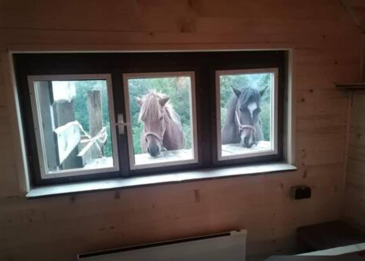 Razgorce Ranch At Geta旅馆 外观 照片