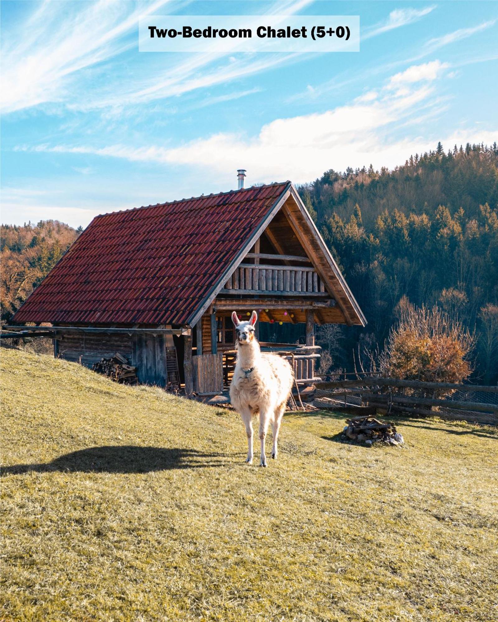 Razgorce Ranch At Geta旅馆 客房 照片